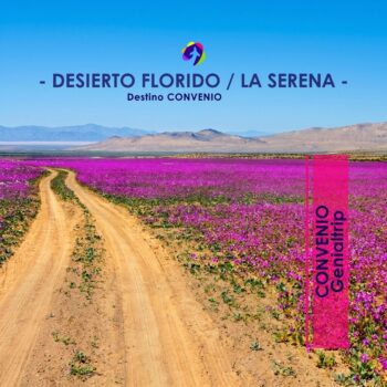 DESIERTO FLORIDO