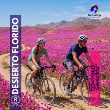 DESIERTO FLORIDO