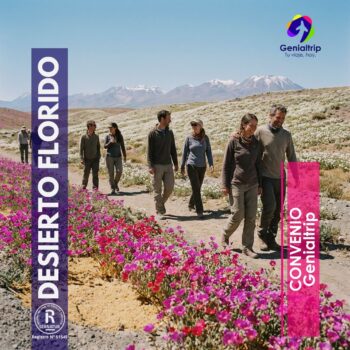 DESIERTO FLORIDO